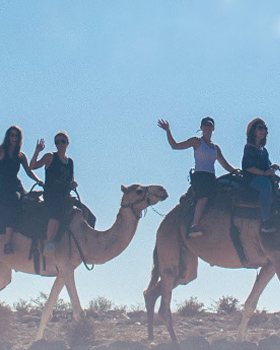 Birthright