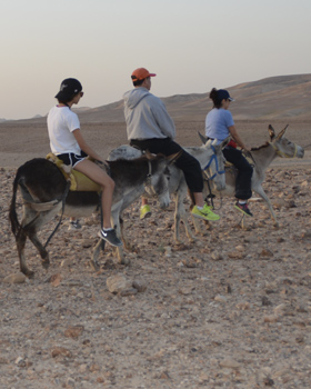 Travel to Israel on the Family Mission