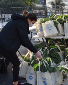 Kosher Food Distribution Drive-Thru Helps Address Food Insecurity