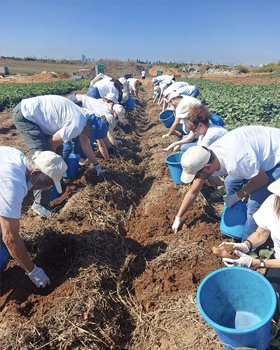 Leket Israel Battles Food Insecurity With Unique Strategy