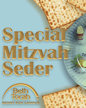 Volunteer at Special Needs Seder