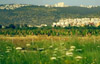 Road Trip Across Israel