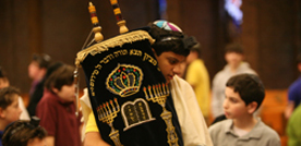 Find a Rabbi