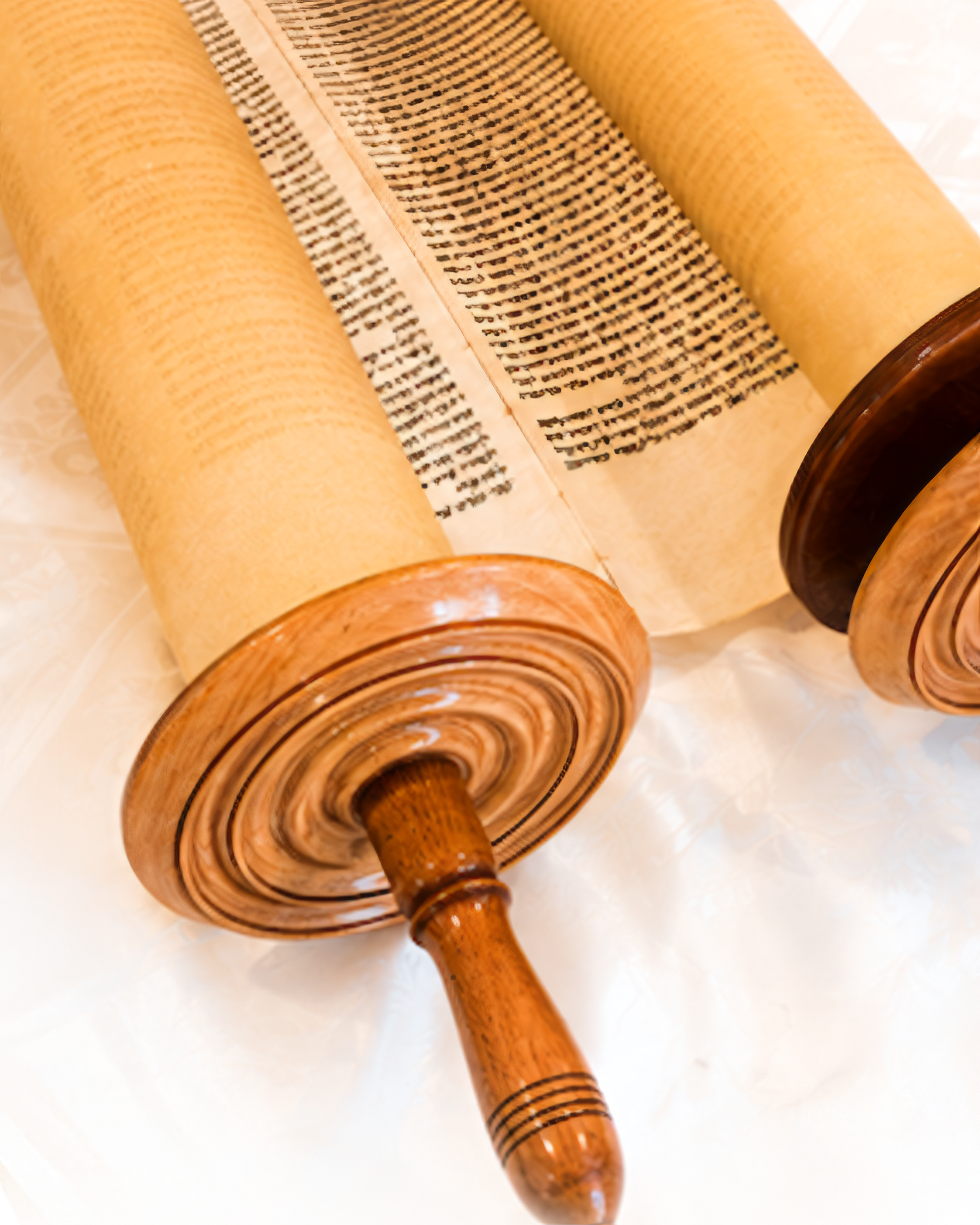 Beth Torah: Dedication of the October 8th Torah