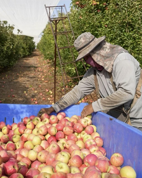 Federation Support Continues in Israel’s Agricultural Sector