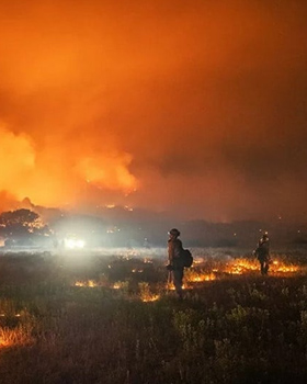 Federation Is Collecting Funds for Maui Wildfire Victims
